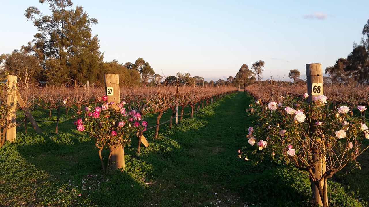 Emma'S Cottage Vineyard Лавдейл Экстерьер фото