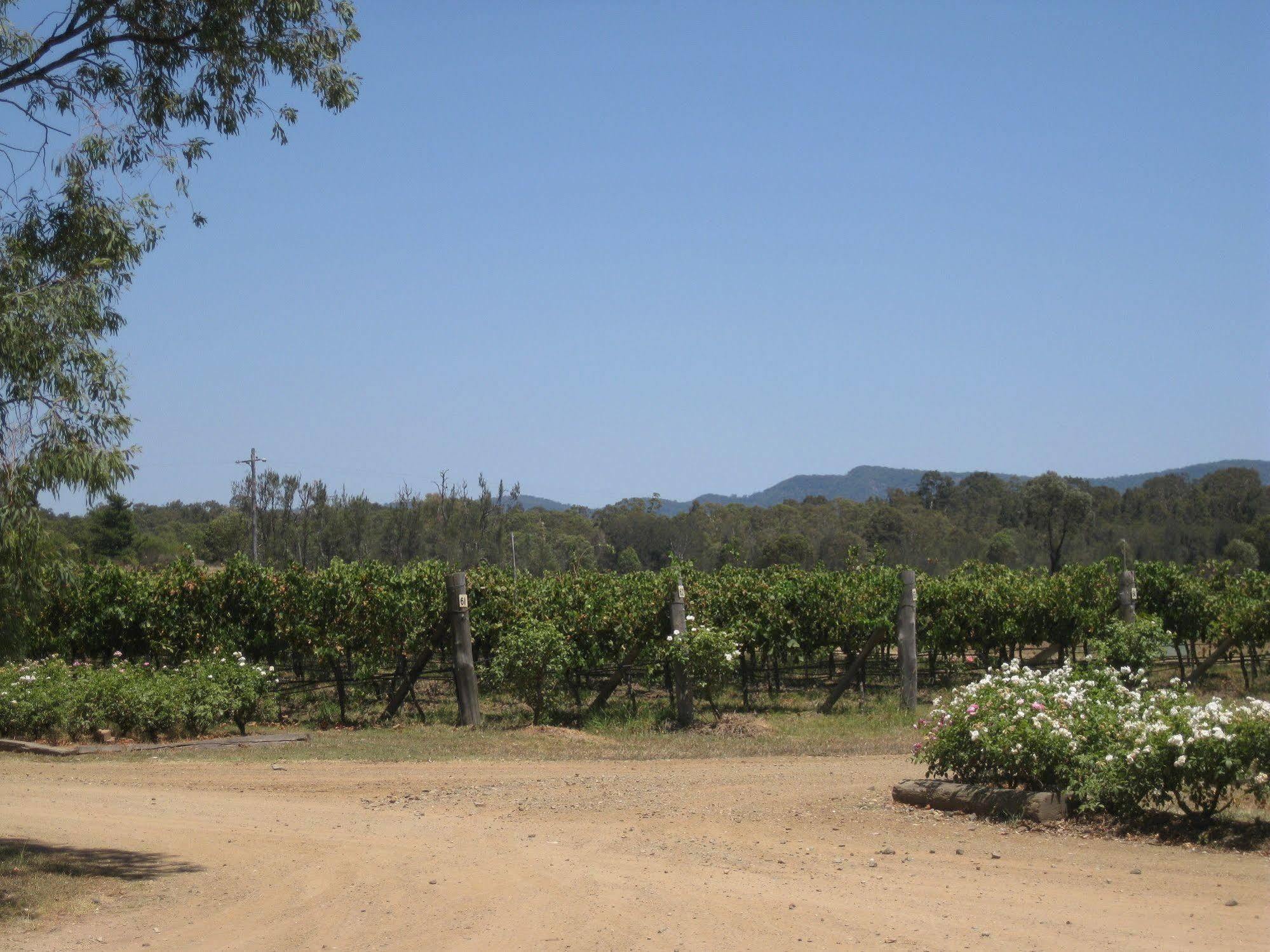 Emma'S Cottage Vineyard Лавдейл Экстерьер фото