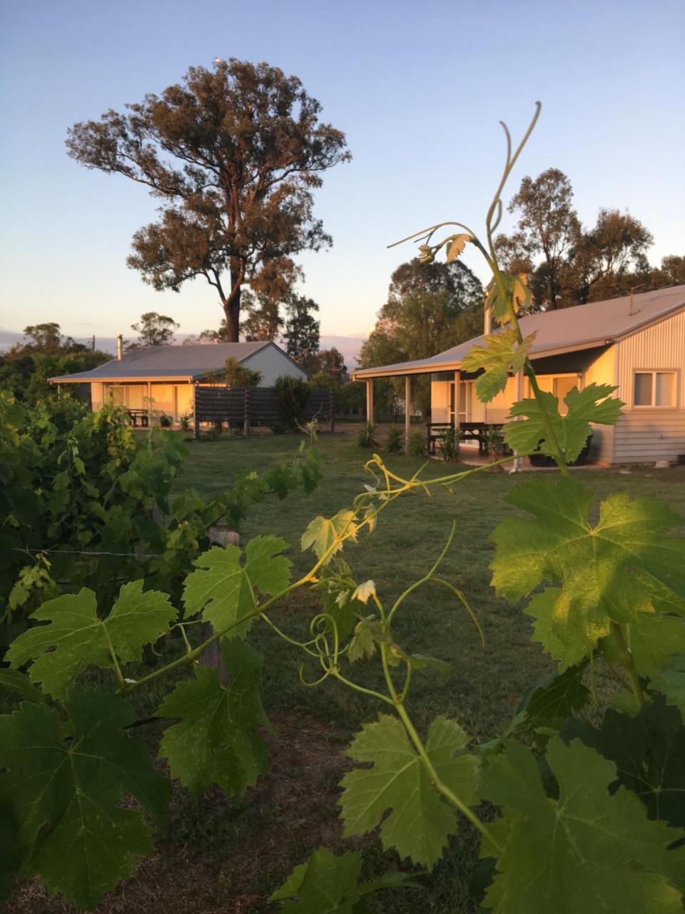 Emma'S Cottage Vineyard Лавдейл Экстерьер фото